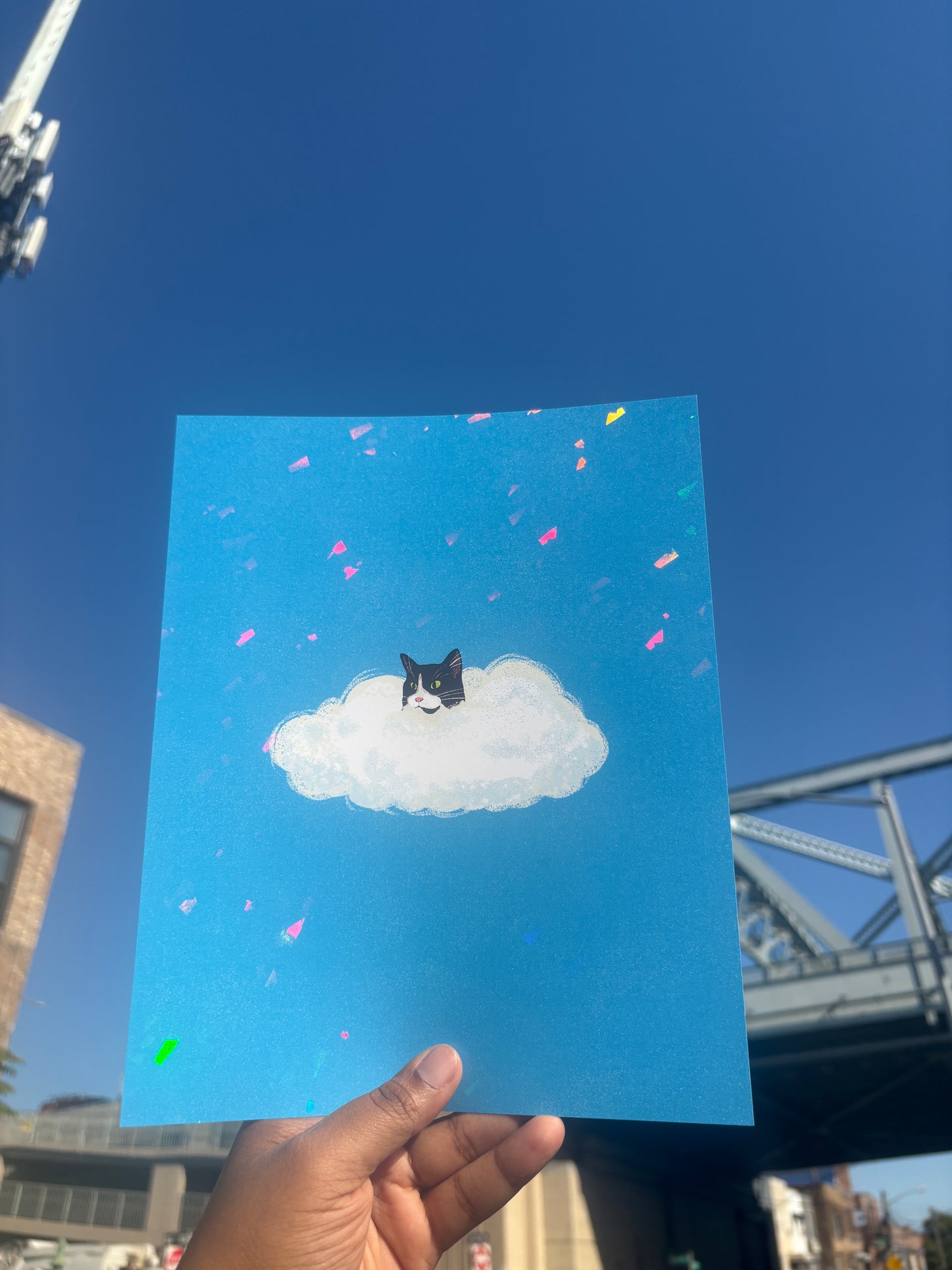 Cat in the Cloud Holographic Tuxedo Print