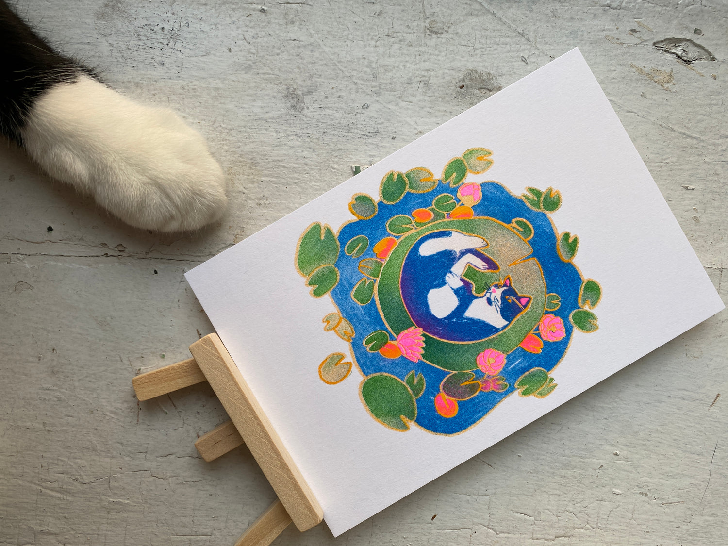 Gerard on the water lily postcard