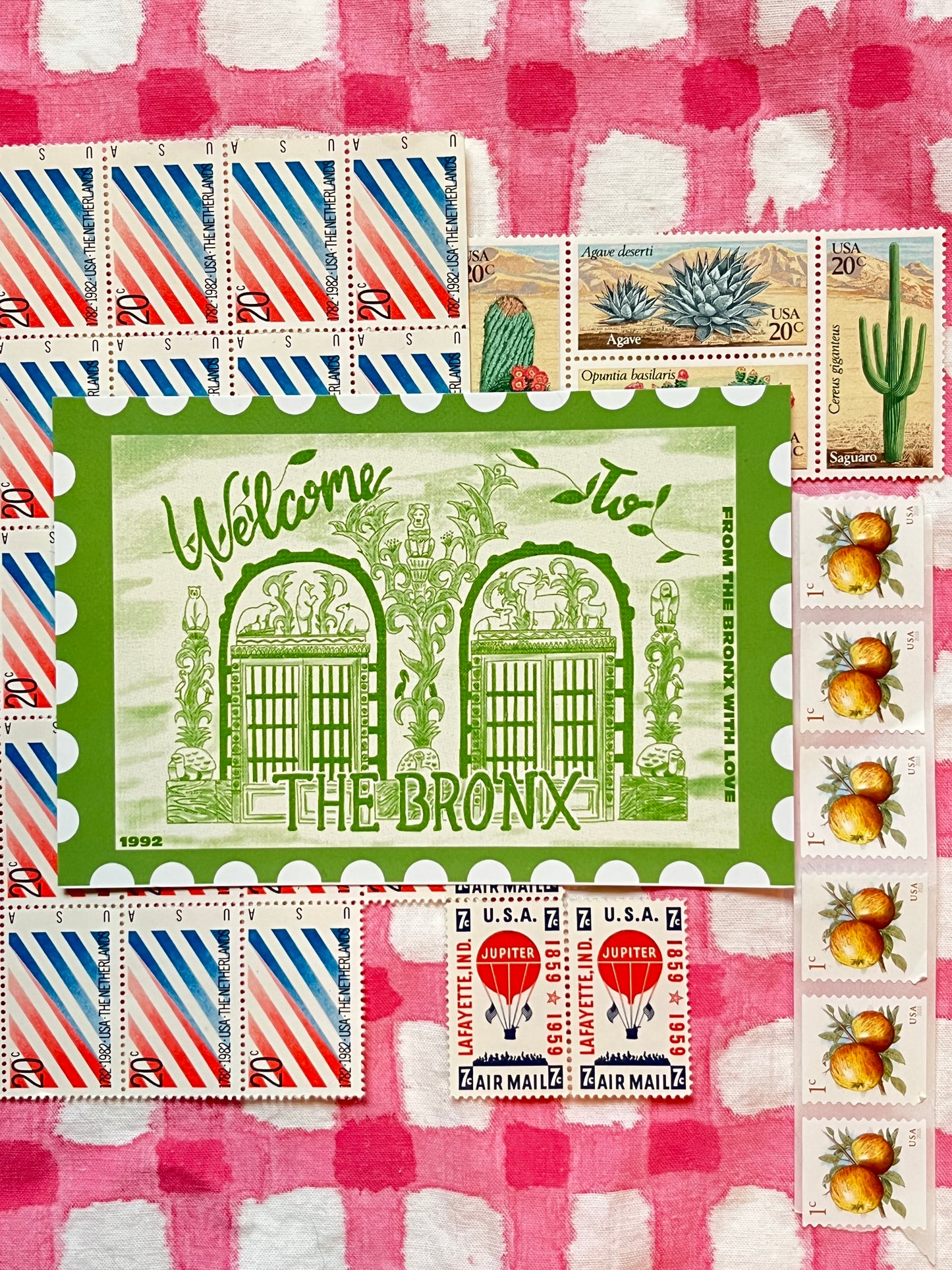 The Bronx Zoo | Bronx Postcard