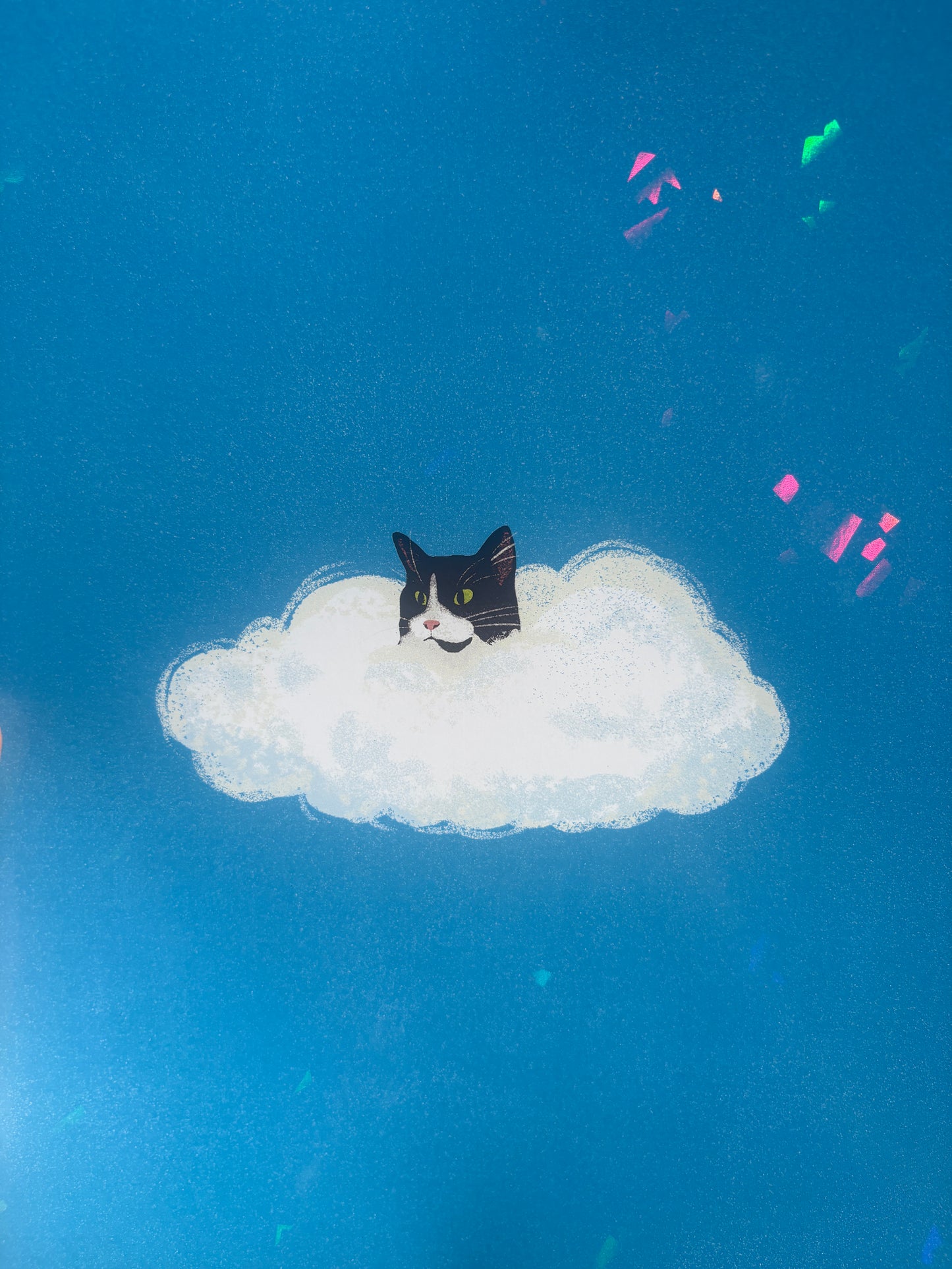 Cat in the Cloud Holographic Tuxedo Print