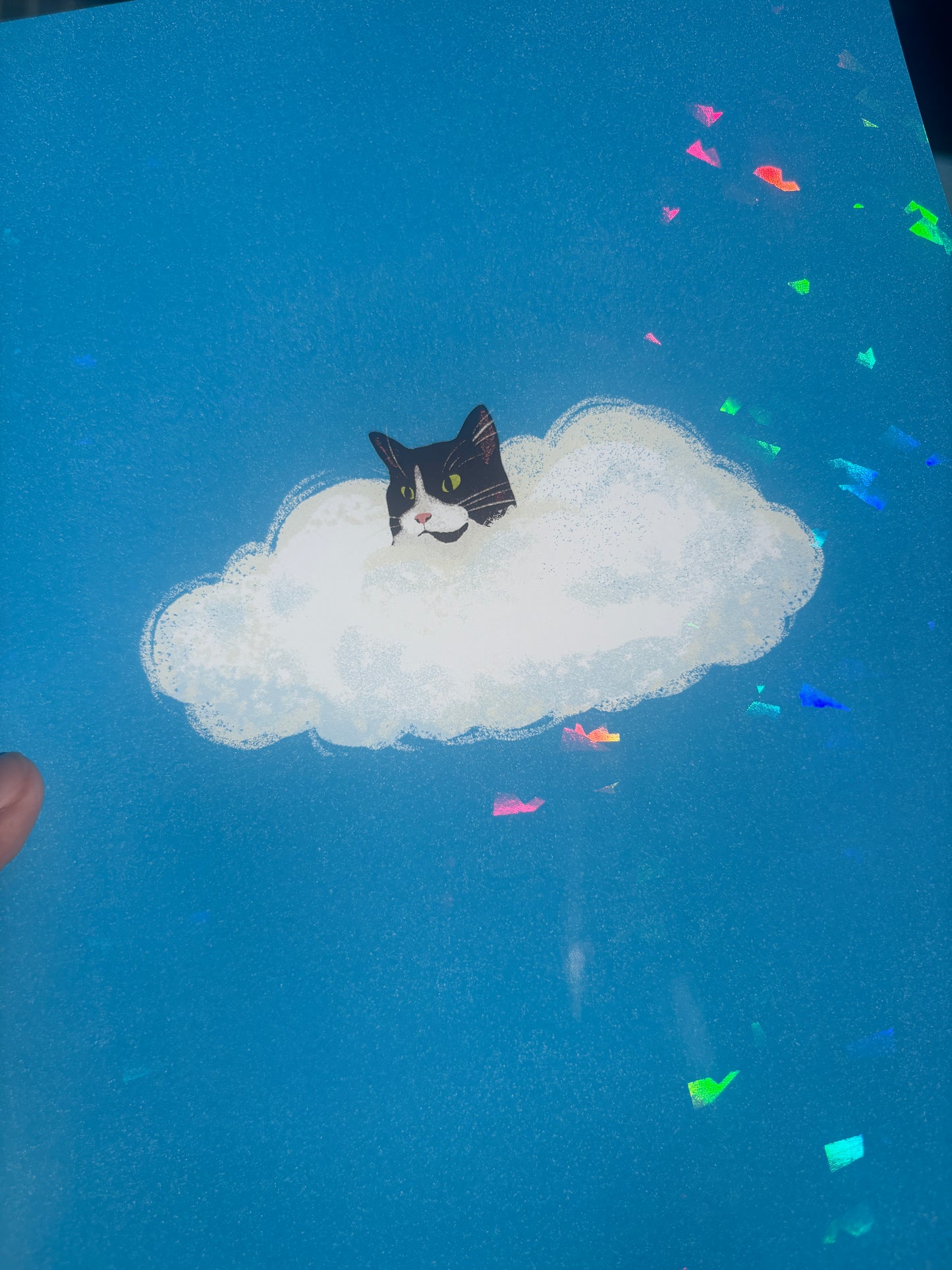 Cat in the Cloud Holographic Tuxedo Print