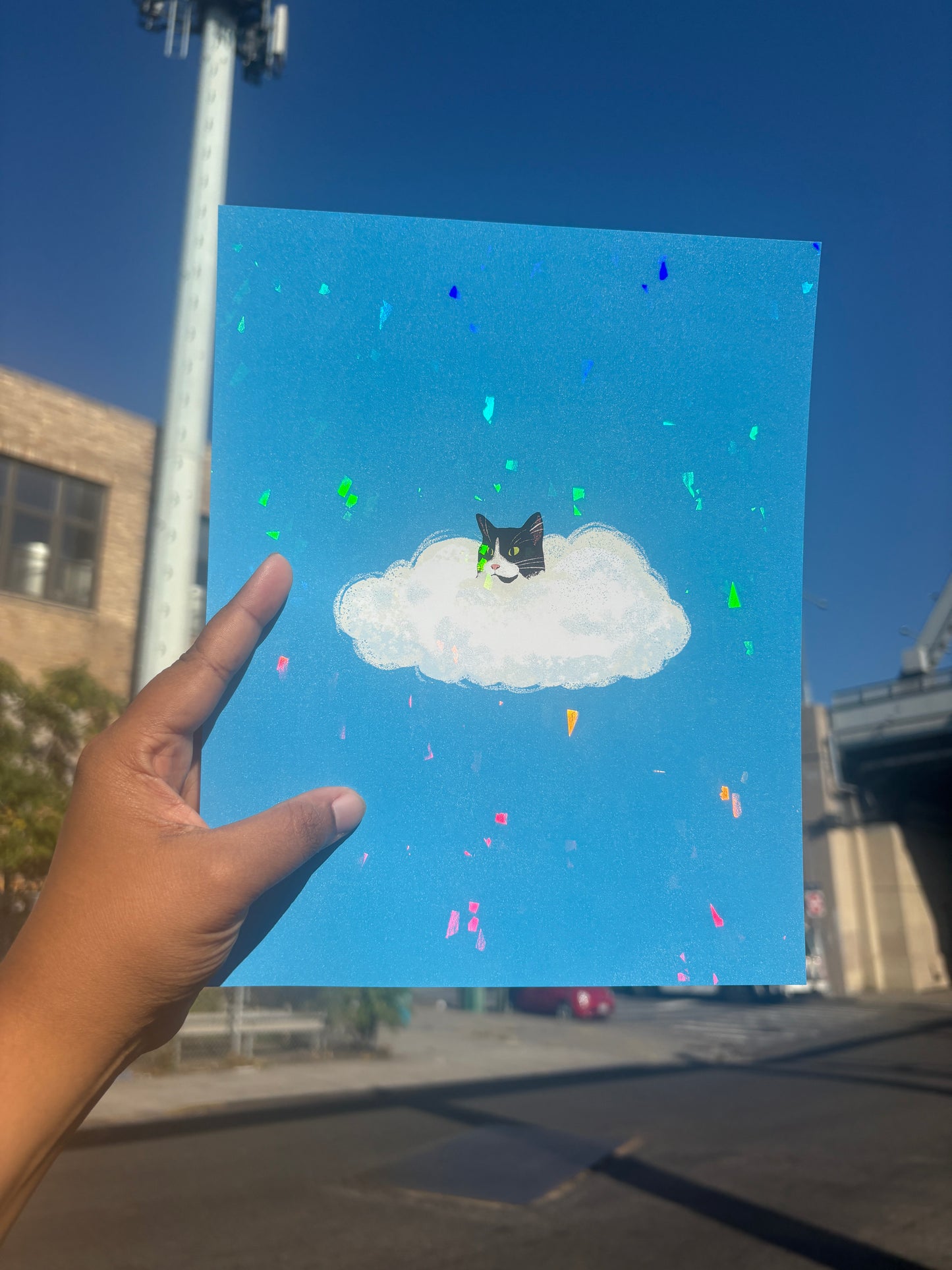 Cat in the Cloud Holographic Tuxedo Print