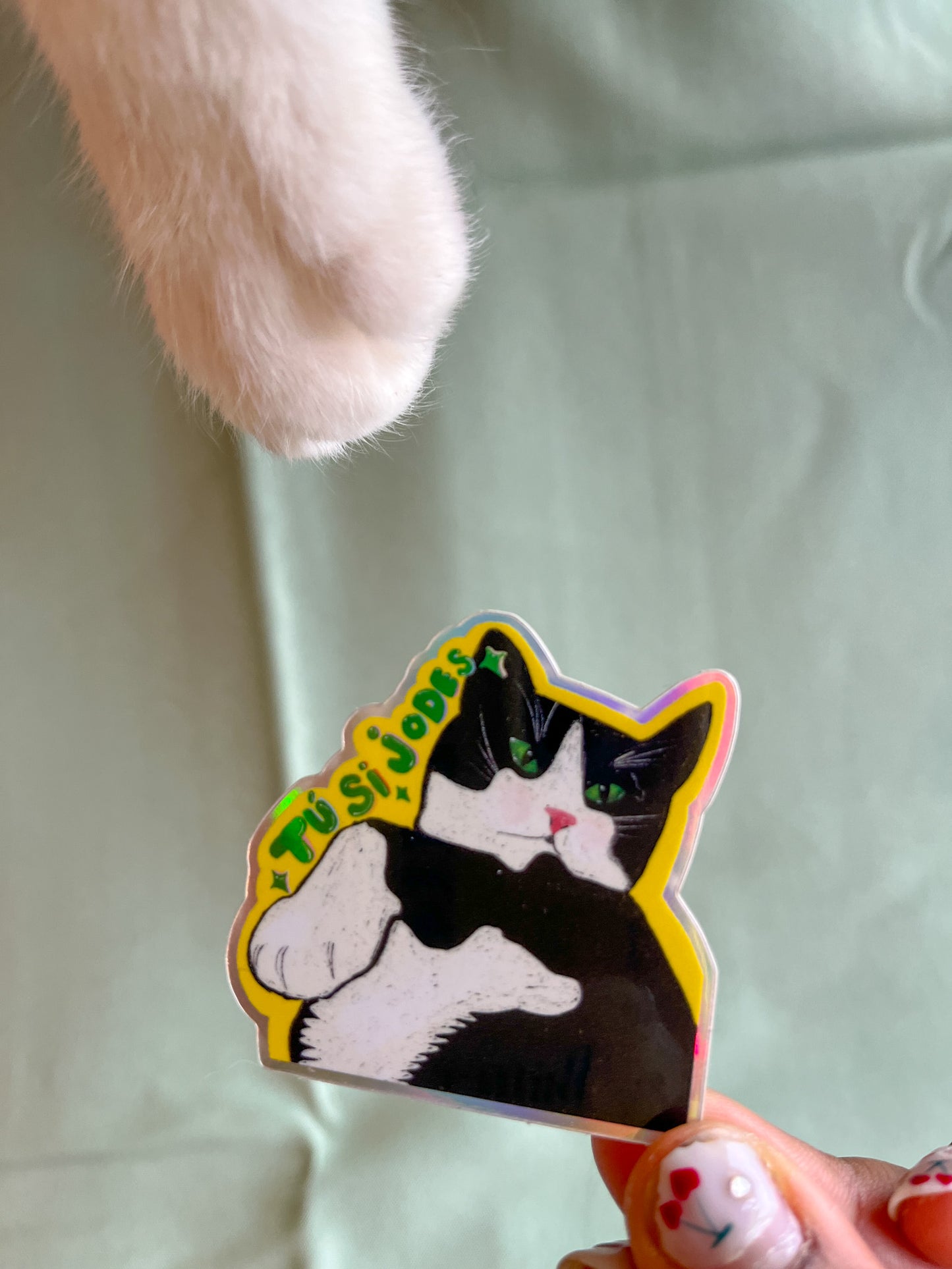 Tú Si Jodes Annoyed Cat Sticker