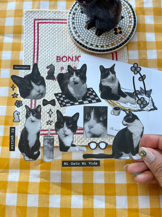 Mi Gato Mi Vida Deco Sticker Set